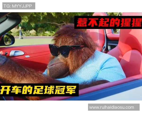 足球明星与猩猩相似的面容引发热议网友纷纷调侃比照照片曝光 足球明星与猩猩相似的面容引发热议网友纷纷调侃比照照片曝光