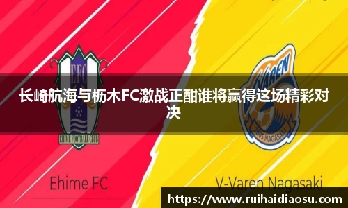 evo视讯登录入口.evo视讯官方网站