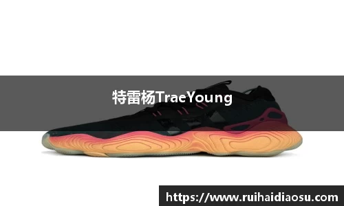 evo视讯登录入口.evo视讯官方网站